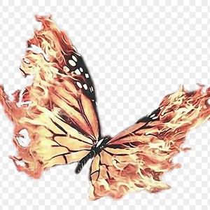 Meet your Posher, Oliver